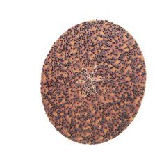 7010310174 | 3M ELEC PROD