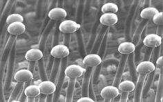 7000045871 | 3M ELEC PROD