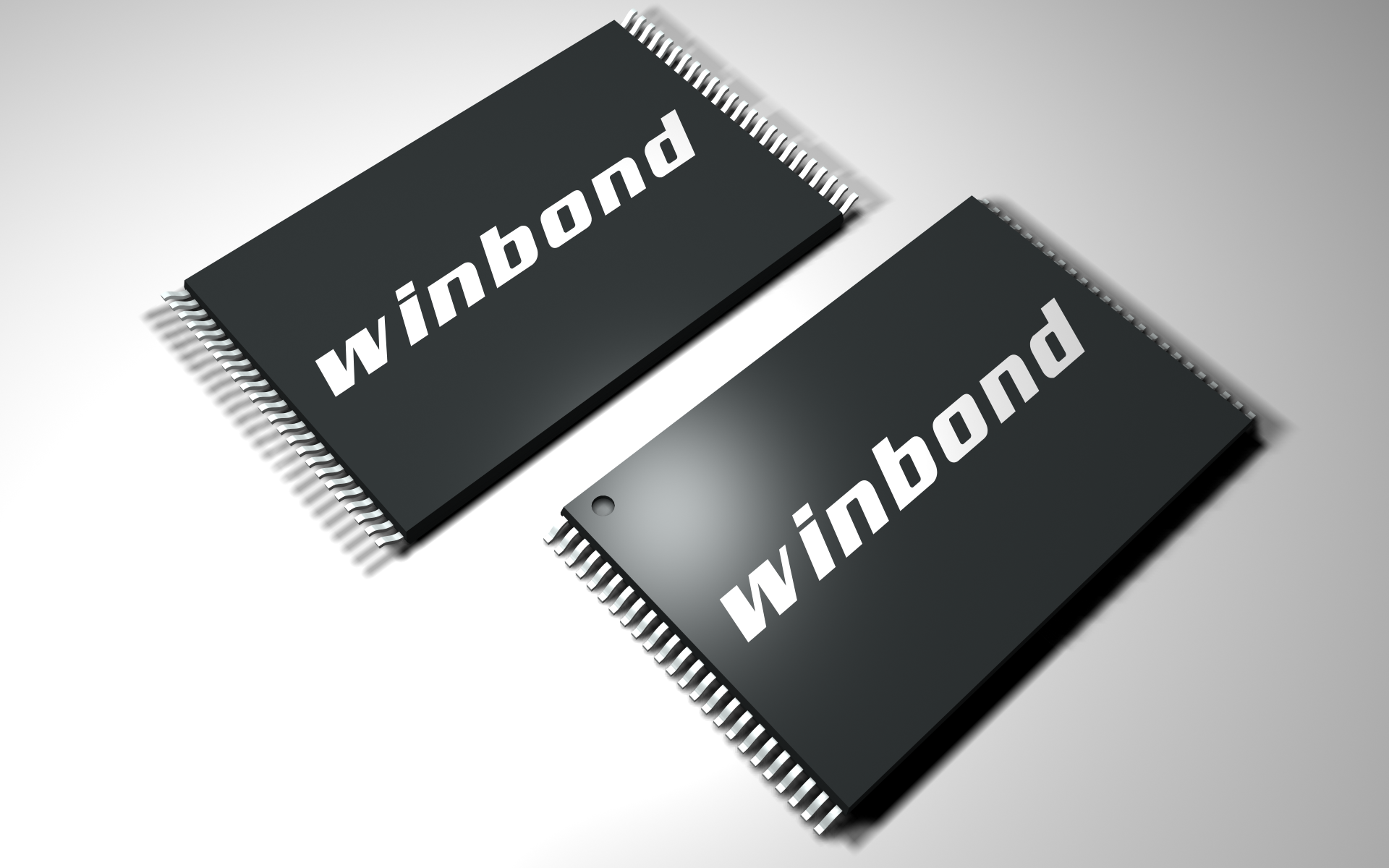 W29N02GVSIAF TR | WINBOND