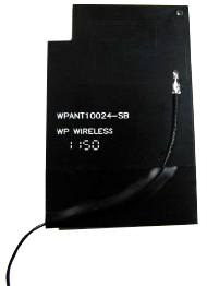 WPANT10024 family