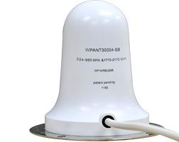 WPANT30004 family
