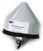 WPANT30061 family