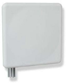 WPANT30121 family