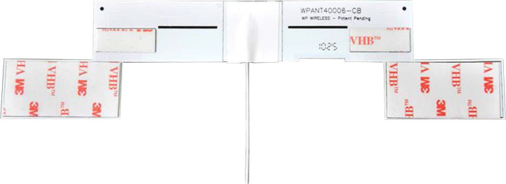 WPANT40006 family