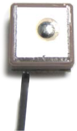 WPANT65012 family